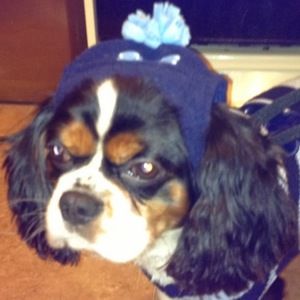 Meet your Posher, Amber